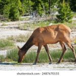 亚美娱乐平台的营销策略:如何吸引更多玩家加入 2uafhs