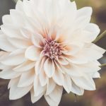 云顶赌场官网的游戏种类与奖金制度详解 l6sm6q1u