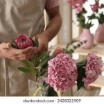 了解大发体育娱乐的热门游戏与投注策略 swkra2i1qf