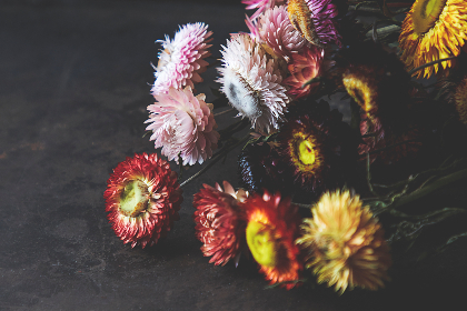 17082期足彩开奖结果揭晓:大奖花落谁家? 17082期足彩开奖结果揭晓:大奖花落谁家?