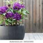 17075期足彩开奖结果揭晓,大奖花落谁家? 6kvwroxg5