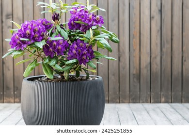 17075期足彩开奖结果揭晓,大奖花落谁家? 17075期足彩开奖结果揭晓,大奖花落谁家?