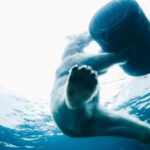 17091467期开奖结果震撼揭晓,大奖花落谁家引关注 6zbmg8qo