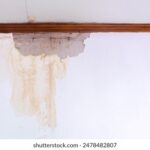 17065期体育彩票开奖结果查询与中奖号码公布 a5zt70sje