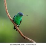 17058期最新开奖结果已公布,速来查看中奖详情 buymt32pbd