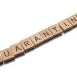 17073期彩票开奖结果最新公布与详细分析 ffbp1s6bz