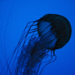 17057期彩票开奖号码查询及结果公布 i7rtc