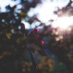 17093期大乐透开奖结果公布,大奖花落谁家? j8u2gcu6t7