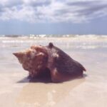 17074期体彩开奖结果公布:最新中奖号码全面揭晓 kj006k0g