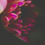 17084期开奖号码公布最新结果查询 mbio6