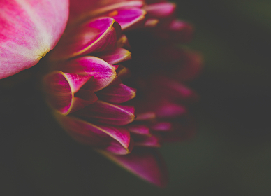 17084期开奖号码公布最新结果查询 17084期开奖号码公布最新结果查询