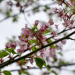 17093期开奖结果震撼揭晓,大奖花落谁家引关注 sqw3g