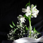 17085期体彩开奖结果公布最新号码揭晓 t9csc1hyz